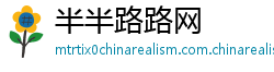 半半路路网